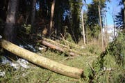 Bis wieder alle Wege am Gamserberg passierbar sind, wird es noch Wochen dauern. (Bild: Corinne Hanselmann, 5. Januar 2018)