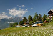 Ein bestehender Zug der Montreux-Oberland-Bahn. (Bild: BLS)