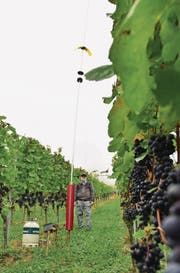 Willi Burkhart kontrolliert den Chlöpfer, den er jeweils über Mittag eine Stunde abstellt. Mit Gasdruck, gesteuert von einer Zeitschaltuhr, wird die gelbe Fahne regelmässig in die Höhe geschossen. (Bild: Mario Testa)