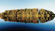 3. Platz: «Der goldene Herbst» (Bild: Luciano Pau)