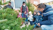 Bei Familie Kämpf und Familie Schönenberger dürfen die Kinder mitentscheiden, welcher Christbaum gekauft wird. (Bild: Donato Caspari)