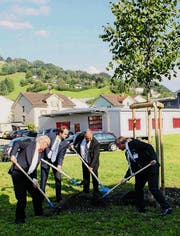 Klaus Endress, Mirko Lehman, Christian Spoerlé und Stefan Kölliker (von links) pflanzen gemeinsam die Linde der Gemeinde Ebnat-Kappel.