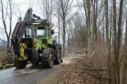 Unterhalb der Stromleitung müssen Bäume weg.