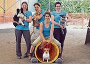 Alexandra Forestier mit Luna, Sonja Müller mit Capo, Tanja Heeb mit Vana und Barbara Heeb mit Capri (von links). (Bild: pd)