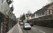 So wie in dieser Visualisierung könnte die Walzmühlestrasse ausgestattet mit Lärmschutzwände als Entlastungsstrasse aussehen. (Bild: PD/Roman Fischer)