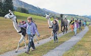 Nach der Znünipause auf dem höchsten Punkt des Trekkings – im Wildhauser Oberdorf – geht es nun bergabwärts und nach Hause. Zuvorderst läuft Sarah mit Lama Kurt, der die Verpflegung trägt.