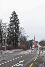 Die Holzung betrifft an der Q20 den Abschnitt zwischen dem Gerichtsgebäude und der Autobahn A1. (Bild: Roman Scherrer)