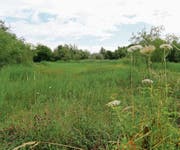 Im Naturschutzgebiet Schuppis werden Littering und Vandalismus immer mehr zum Problem. (Bild: Rudolf Hirtl/zVg)
