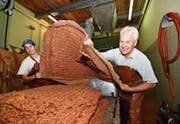 Silvia und Karl Aepli kippen den Trester – die ausgepresste Apfelmasse – auf einen Holzwagen. Er wird als Tierfutter verwendet. (Bild: Manuel Nagel)