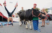 Die Artisten Janette Weisheit, Tim Thomsen und Charlotte Miller posieren. Clown Lubino hält Kuh Milka. (Bild: Stefan Hilzinger)