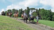 Ein gemütlicher Ausritt mit Pferd und Wagen. (Bild: Lukas Hutter)