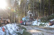 Lagebesprechung im Wald. Auf die Forstwarte wartet in nächster Zeit enorm viel Arbeit.