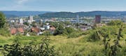 In Spreitenbach gibt es neben den vielen Hochhäusern, Einkaufszentren und Industriebauten auch Wohn- und Naherholungszonen. (Bilder: Anina Rütsche/pd)