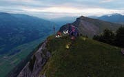 Ein leuchtendes Mammut zog die Blicke vieler Leute in Richtung Gipfel des Gonzen. (Bild: PD)