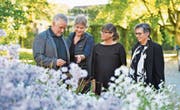 Mit einem Projekt fördern sie Biodiversität im Botanischen Garten Frauenfeld: Viktor Gschwend, Präsident Jardin Suisse Thurgau, Nina Moser vom Amt für Raumentwicklung, die stellvertretende Kantonsbaumeisterin Marina Tüscher sowie Projektverfasserin Mariann Künzi. (Bild: Donato Caspari)