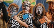 Eine Herde Zebras streift durch die Steppe respektive die Turnhalle.