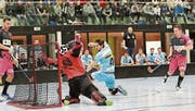 Zwei Drittel lang funktionierte das Spiel von Floorball Thurgau (pink) gegen Sarganserland. (Bild: Mario Gaccioli)