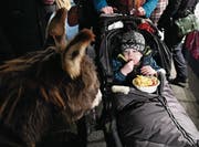 Furchtlos isst der Knirps im Kinderwagen im Angesicht des Esels seine Pommes. (Bild: Yvonne Aldrovandi-Schläpfe)