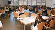 Lernen mit Bildern: Schnelles Lernen bringt nicht unbedingt nachhaltigeren Erfolg. Auch das Genie Albert Einstein war ein «Langsam-Lerner». (Bilder: Christof Lampart)