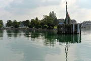 Ob dereinst auf der Bunkerwiese ein Vergnügungspark entsteht, ist offen. (Bild: Reto Martin)