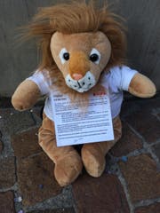 Leuli "Savi" wartet auf dem Pflaster der Zürcherstrasse auf neugierige Passanten. (Bild: Stefan Hilzinger)