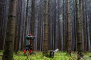 Ex-Präsidenten, verlorene Finger oder ein Hund, der den Abzug zieht: Beim Jagen kann so einiges passieren. (Bild: Keystone)