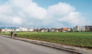 Eine der drei noch unbebauten Parzellen entlang der Sonnenhofstrasse gehört der Stadt. (Bild: Thi My Lien Ngyuen)