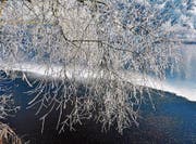 Tief hängen die Raureifäste über dem Teich. Oft sind es nur Stunden oder auch Minuten, bis die Pracht verschwindet. Zur rechten Zeit am rechten Ort zu sein, ist wichtig. (Bild: Bert Stankowski)