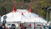Heute abend ist im Zelt des Circus Knie offizielle Buchser Premiere mit dem Programm «Smile». (Bilder: Hansruedi Rohrer)