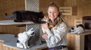 Gabi Federer Greulach mit den vier Kätzchen vom Bauernhof. Jeden Tag bringt sie ihnen Kunststücke bei. (Bild: Michel Canonica)