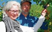 Andrea Bosshart-Schaffhauser, Ressort Rebberg, und Eduard Kümin, Rebwart der Ortsgemeinde Wil, hoffen trotz des Kälteeinbruchs im Frühling auf eine gute Weinqualität des Jahrgangs 2017. (Bild: Roland P. Poschung)