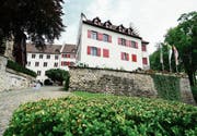 Zwei bis vier Fachteams sollen sich konzeptionell mit der Zukunft und den Nutzungsmöglichkeiten des Schlosses befassen. (Bild: Max Eichenberger)