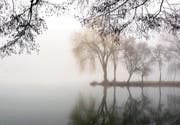 Nebel ist trotz der Computermodelle schwierig vorauszusagen. (Bild: Fotolia)