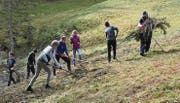 Insgesamt 20 Jugendliche sind diese Woche im Arbeitseinsatz für das Landschaftskonzept Neckertal.