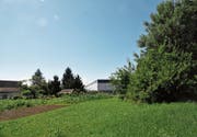 Die Planungszone mit Wohnbauten und Bäumen grenzt ans Industriegebiet. (Bild: Markus Schoch)