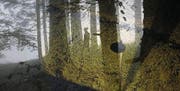Eine Filmszene aus dem neuen Dokumentarfilm von Thomas Lüchinger. (Bild: PD)