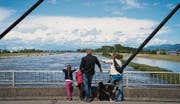 Diepoldsau - Rhein führt Hochwasser Viele Schaulustige säumen das Ufer (Bild: Ralph Ribi (Ralph Ribi))