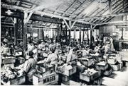 Im Zuge der Industrialisierung waren in den Fabriken immer wieder Frauen- und Kinderhände gefragt, wie hier in der Gemüserüsterei der Firma Maggi. (Bild: PD/Historisches Museum Thurgau)