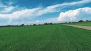 Um dieses Landwirtschaftsland ging es bei den Diskussionen. (Bild: PD)