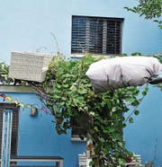 Diese Rattansitzbank segelte vom Balkon auf das Vordach – rechts die Abdeckung, die wie ein Ballon wirkte. (Bild: Thomas Schwizer)