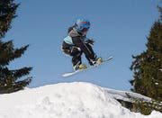 Mischa zeigt beim Sprung über den Step Up einen Indy. (Bild: Corinne Hanselmann)