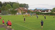 Die Faustballer liessen sich ob der zwischenzeitlich garstigen Wetterbedingungen nicht beeindrucken und konnten auf einen hervorragend präparierten Rasen zählen. (Bilder: Pascal Hardegger)
