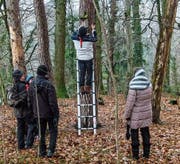 Aadorfer Vogelschützer reinigen und kontrollieren Nistkästen. (Bild: PD)