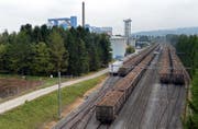 Die Werdenberger Zuckerrüben fahren mit der Bahn nach Frauenfeld in die Zuckerfabrik. (Bild: Nana do Carmo)