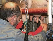 Der Bauer zeigt den Kindergärtlern, wie man melkt.