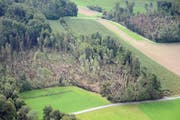 Insgesamt sind im Thurgau 15'000 Kubikmeter Holz umgeworfen worden. (Bild: pd)