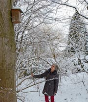 Die Nistkästen hat Elisabeth Frischknecht für höhlenbrütende Vögel aufgehängt. (Bild: KER)