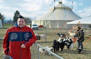 Zirkusdirektor Oliver Skreinig bei den Aussengehegen für die Ziegen und Hunde von Tiertrainerin Josephine Igen. (Bild: Mario Testa)