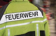 In Bereichen wie Einsatz und Ausbildung arbeiten die Feuerwehren von Goldach, Steinach und Horn zusammen. (Bild: Rudolf Hirtl)