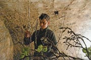 Meisterflorist Walter Zellweger in seinem Arbeitsraum im Bogenkeller des 300 Jahre alten Hauses zum Sternen in Schwellbrunn. (Bild: ker)